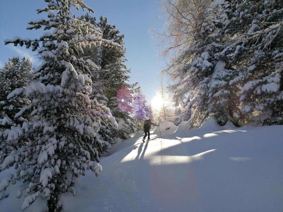 Dolomites B&B - Suites, Apartments And Spa เตเซโร ภายนอก รูปภาพ