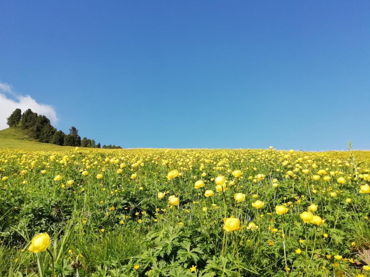 Dolomites B&B - Suites, Apartments And Spa เตเซโร ภายนอก รูปภาพ