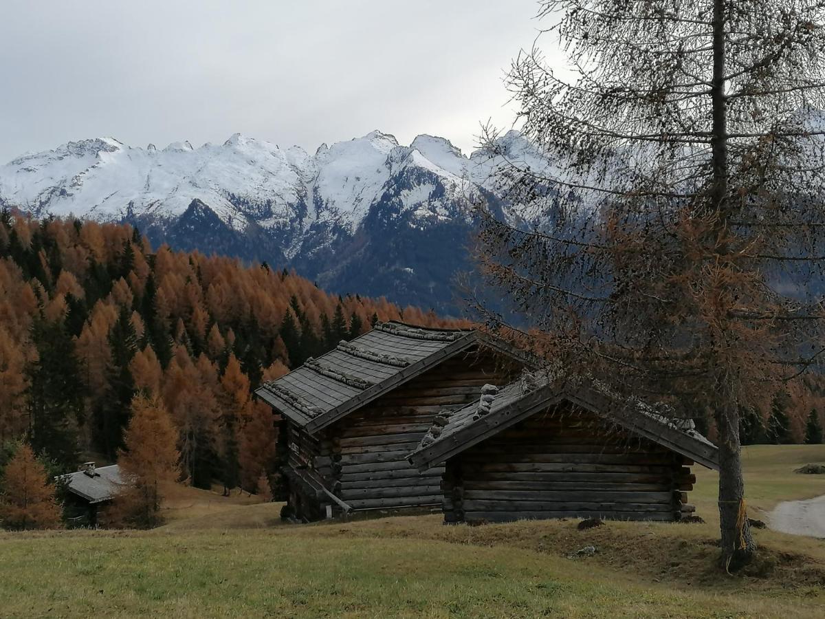 Dolomites B&B - Suites, Apartments And Spa เตเซโร ภายนอก รูปภาพ