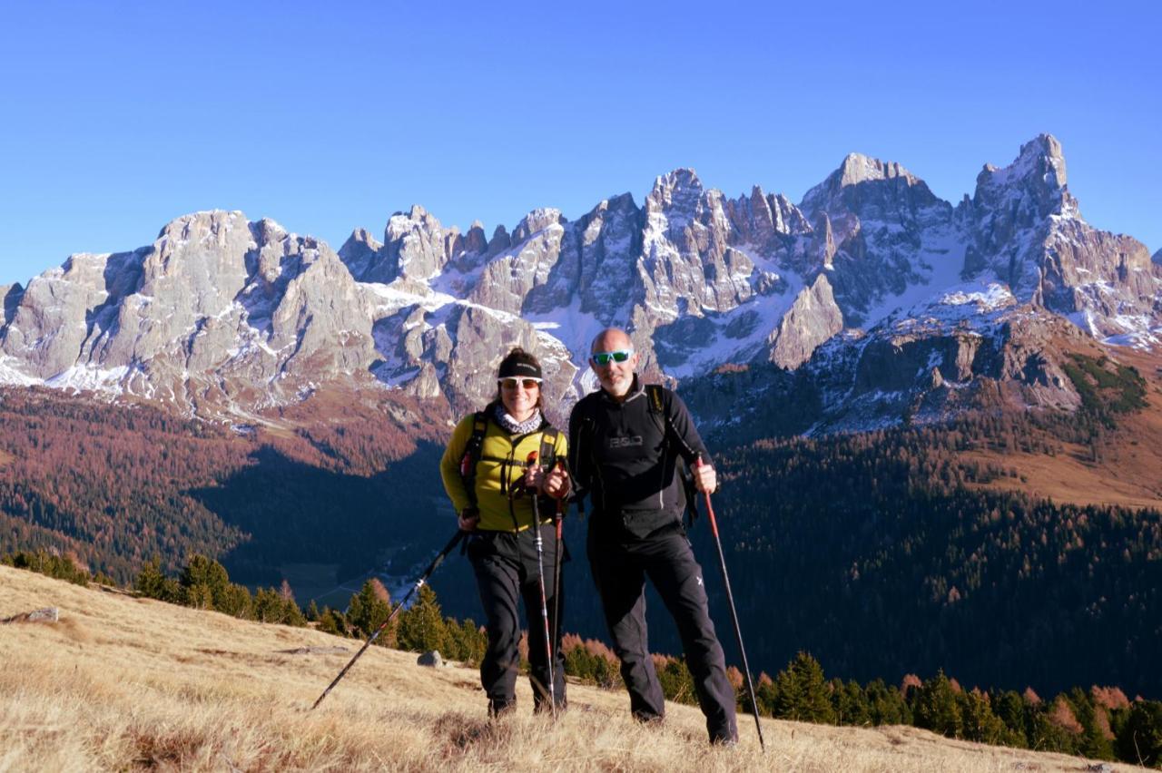 Dolomites B&B - Suites, Apartments And Spa เตเซโร ภายนอก รูปภาพ